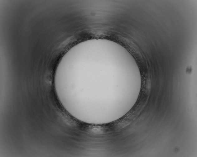 X0000102040710200808081835