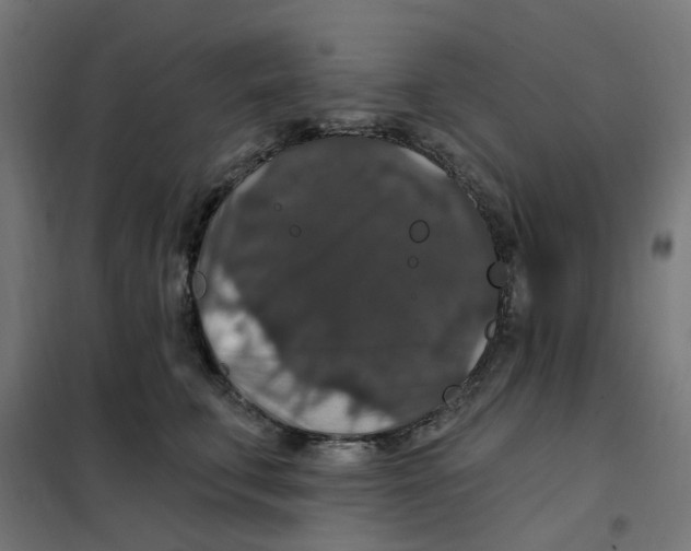 X0000102040711200808081835