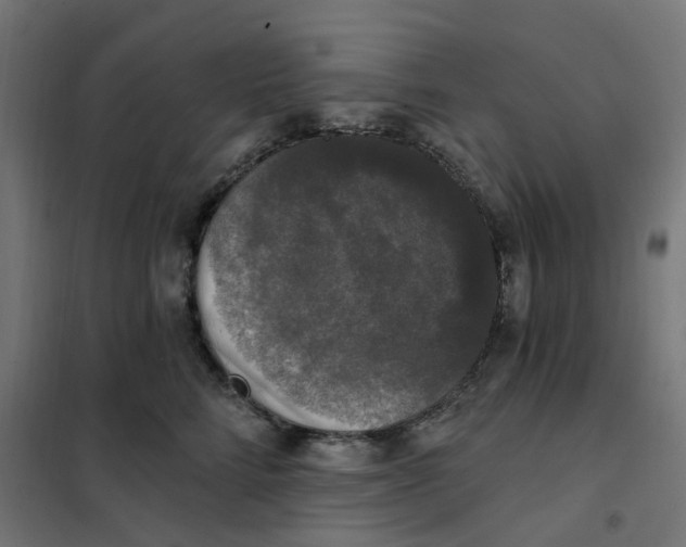 X0000102040712200808081835