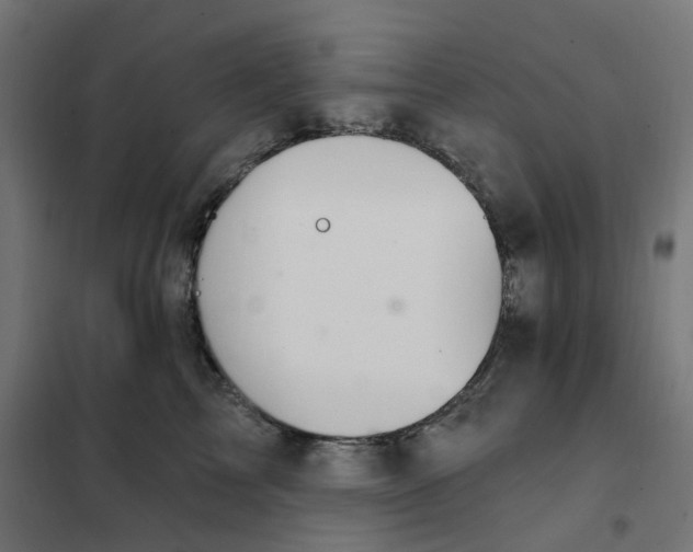 X0000102040713200808081835