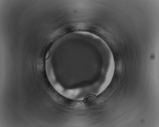 X0000102040715200808081835