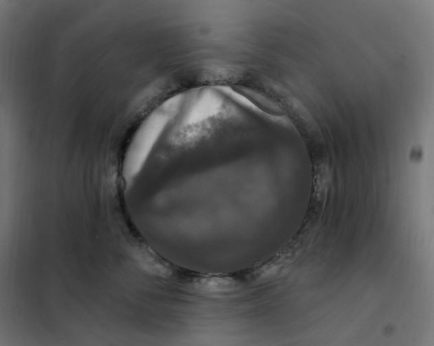 X0000102040716200808081835