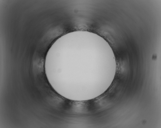 X0000102040717200808081835