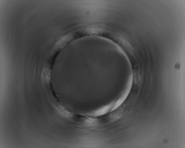 X0000102040718200808081835