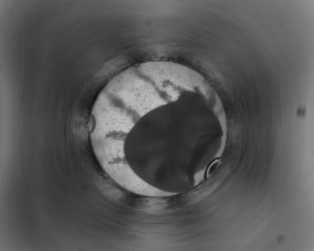 X0000102040719200808081835