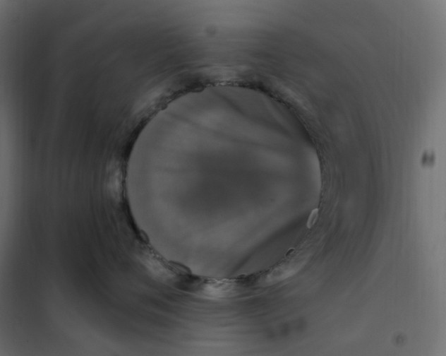 X0000102040720200808081835