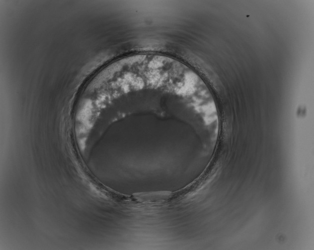 X0000102040721200808081834