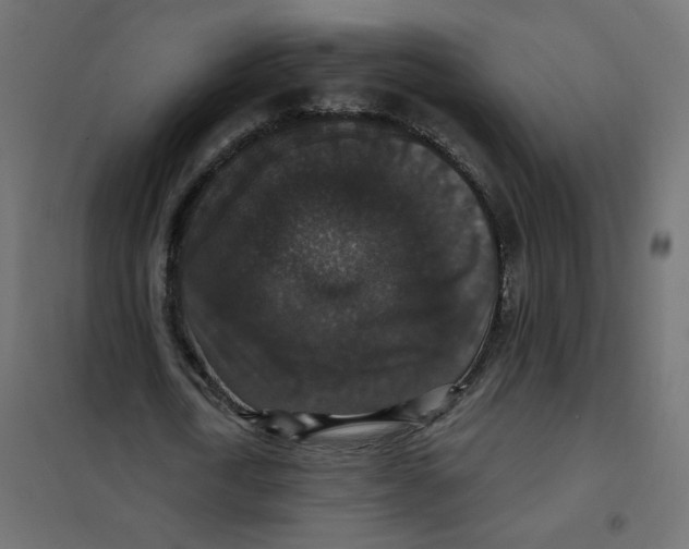 X0000102040722200808081834