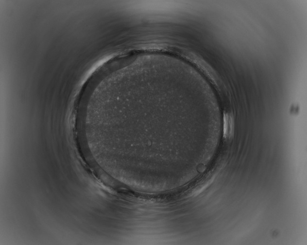 X0000102040723200808081834