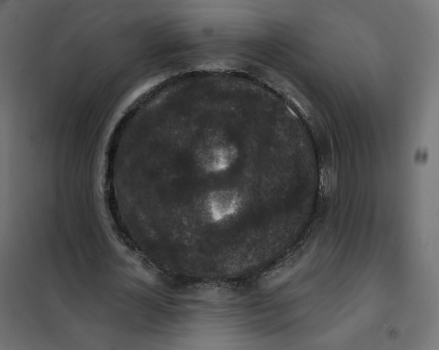 X0000102040724200808081834