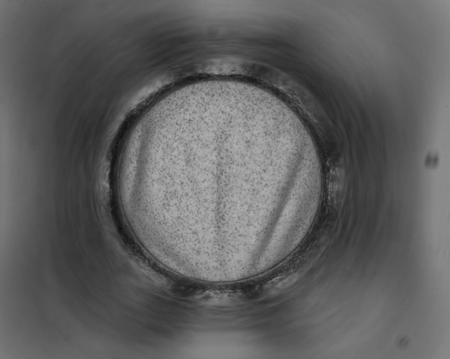 X0000102040727200808081834