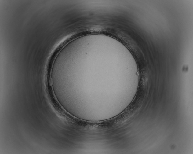 X0000102040728200808081834