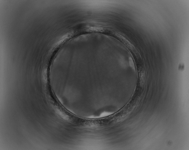 X0000102040729200808081834