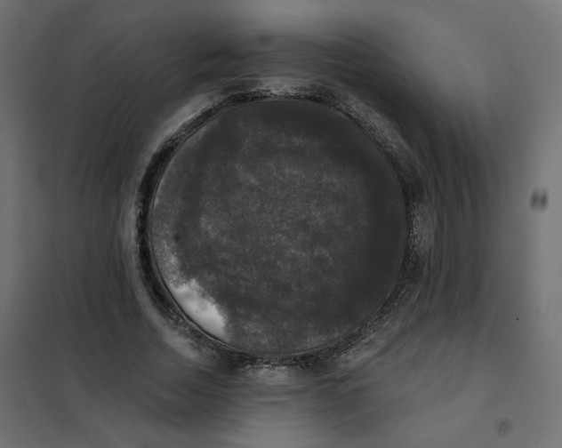 X0000102040730200808081834