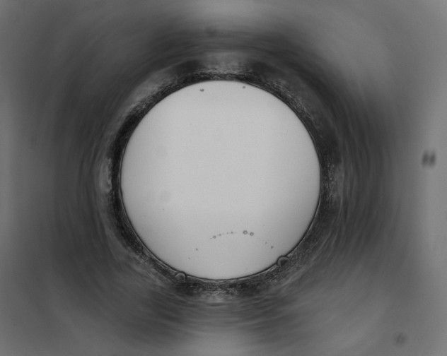 X0000102040731200808081834