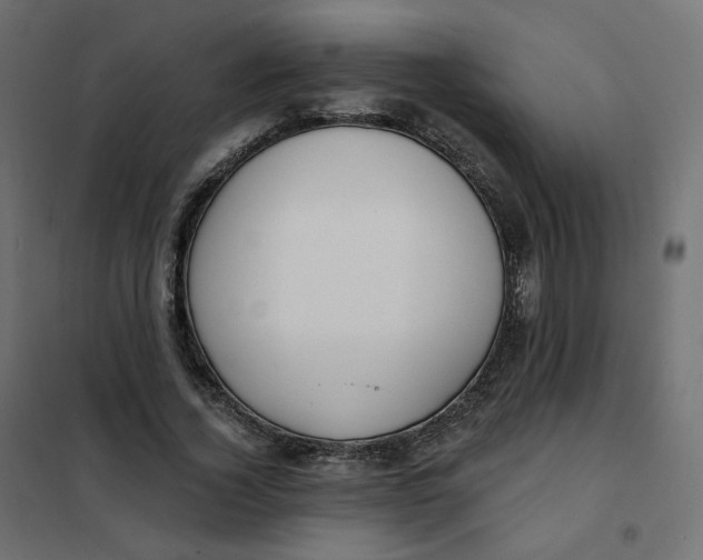 X0000102040732200808081834