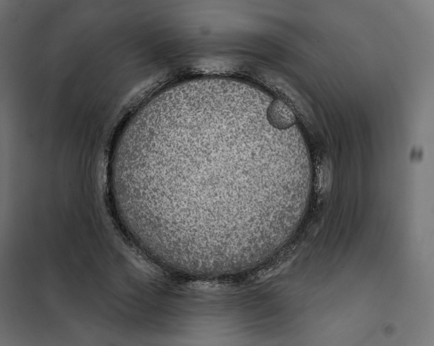 X0000102040733200808081834