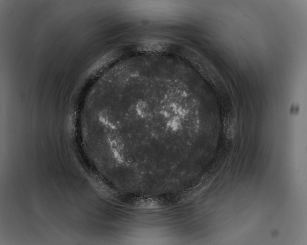 X0000102040735200808081834