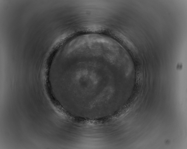 X0000102040736200808081834