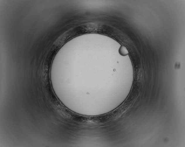 X0000102040737200808081834