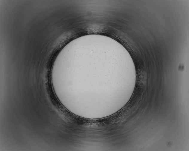 X0000102040738200808081834