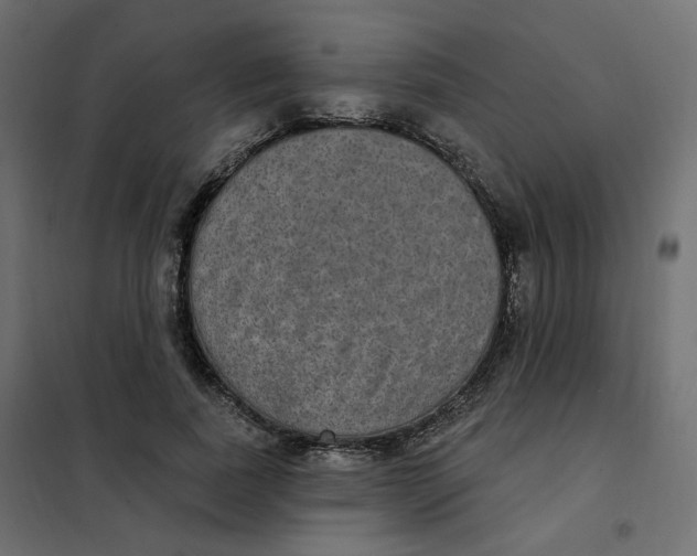 X0000102040739200808081834