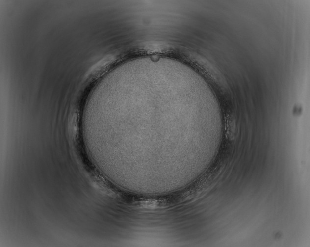 X0000102040740200808081834