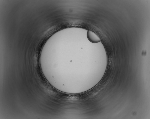 X0000102040741200808081834