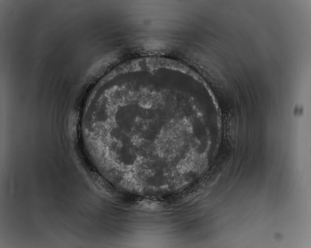 X0000102040742200808081834