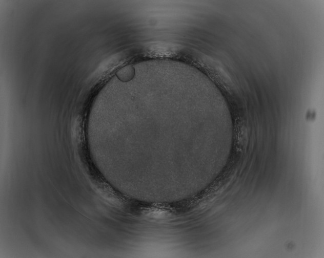 X0000102040743200808081834