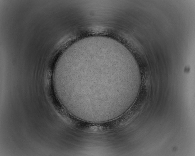 X0000102040744200808081834