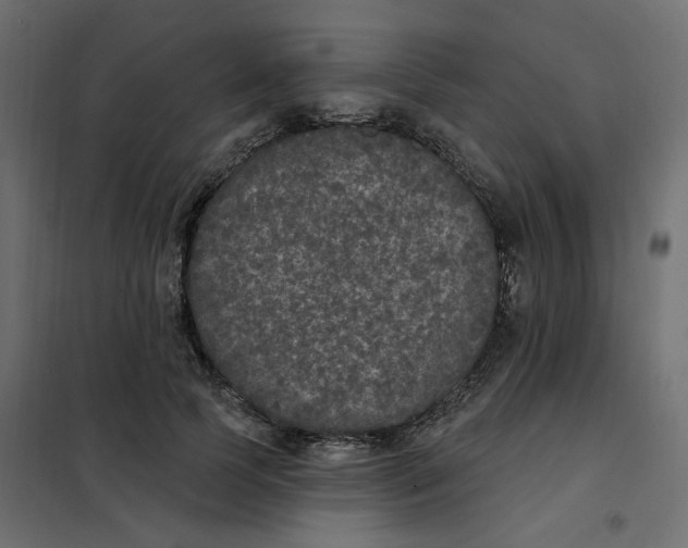 X0000102040745200808081834