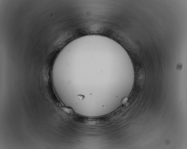 X0000102040746200808081834