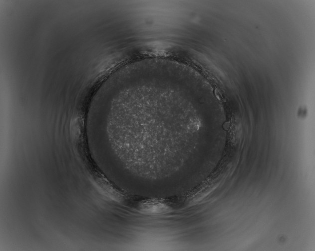 X0000102040747200808081834