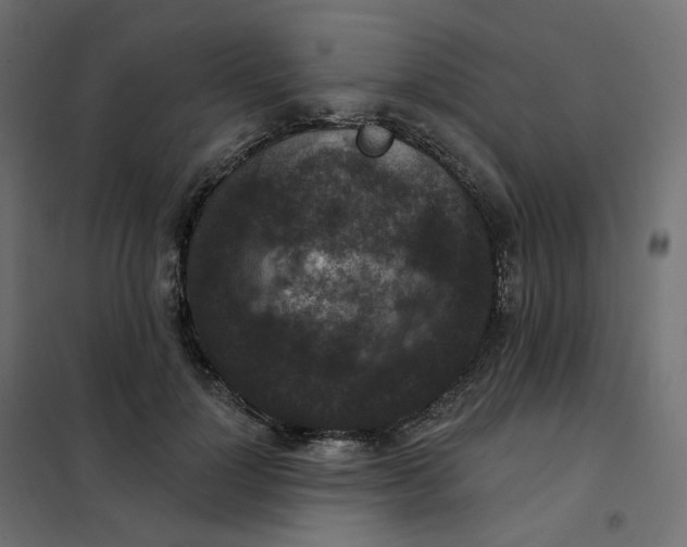 X0000102040748200808081834