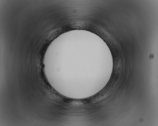 X0000102040749200808081834