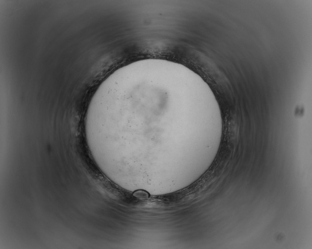 X0000102040750200808081834