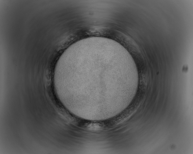 X0000102040751200808081834