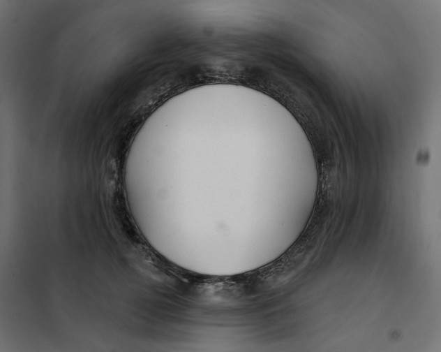 X0000102040752200808081834