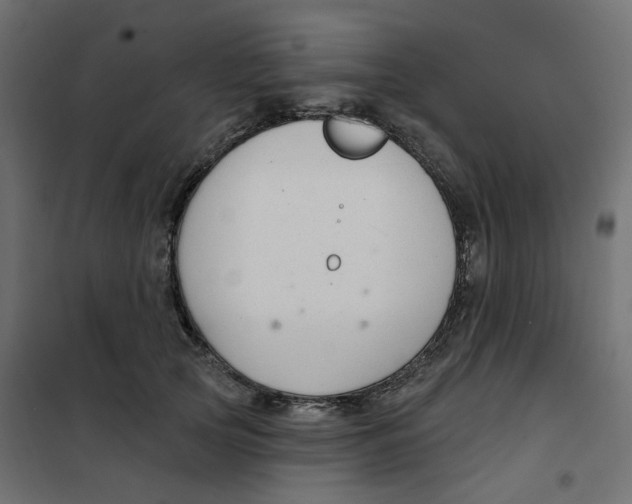 X0000102040753200808081834