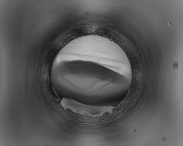 X0000102040754200808081834