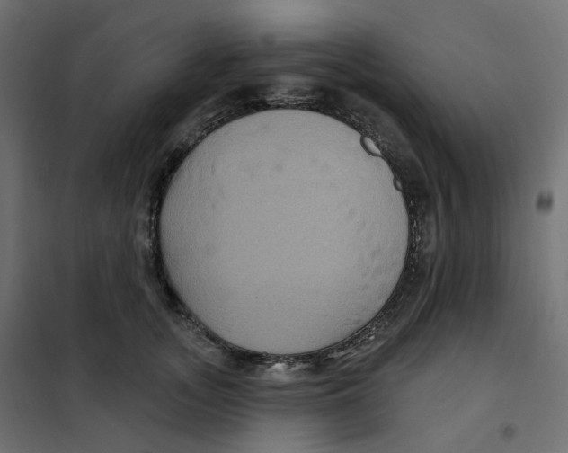 X0000102040755200808081834