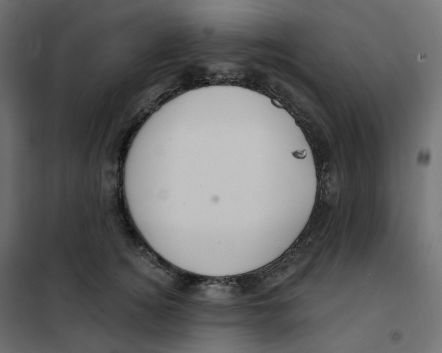 X0000102040756200808081834