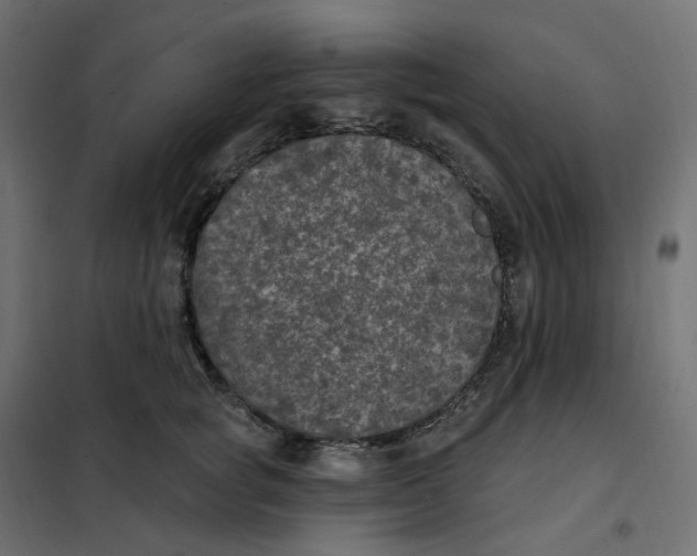 X0000102040757200808081834