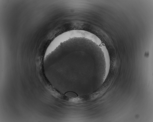 X0000102040759200808081834