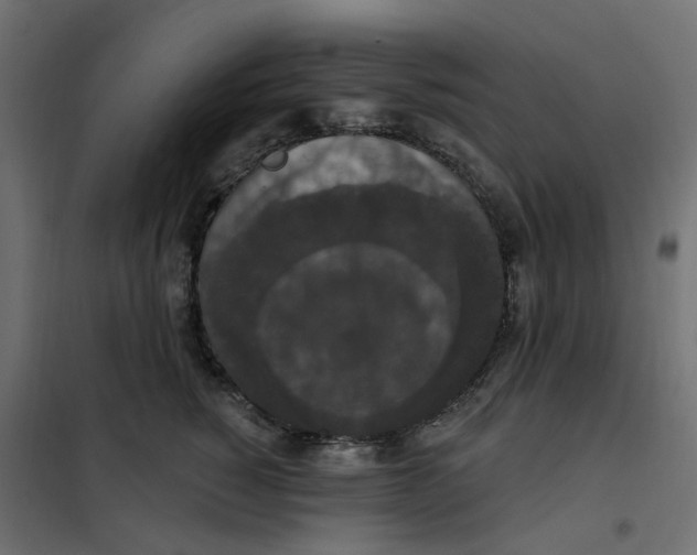 X0000102040760200808081834