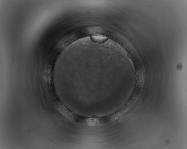 X0000102040762200808081834