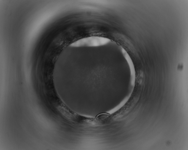 X0000102040763200808081834