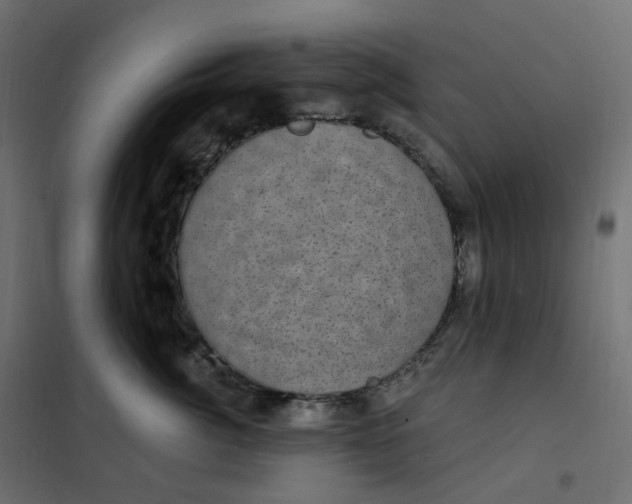 X0000102040764200808081834