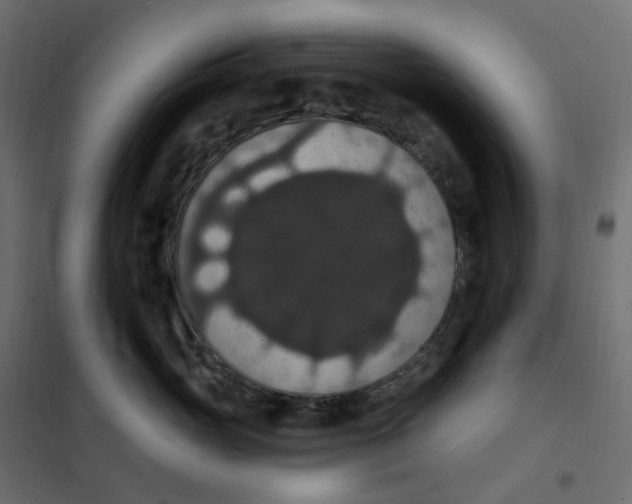 X0000102040765200808081834